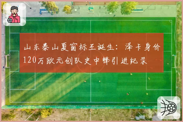 山东泰山夏窗标王诞生：泽卡身价120万欧元创队史中锋引进纪录