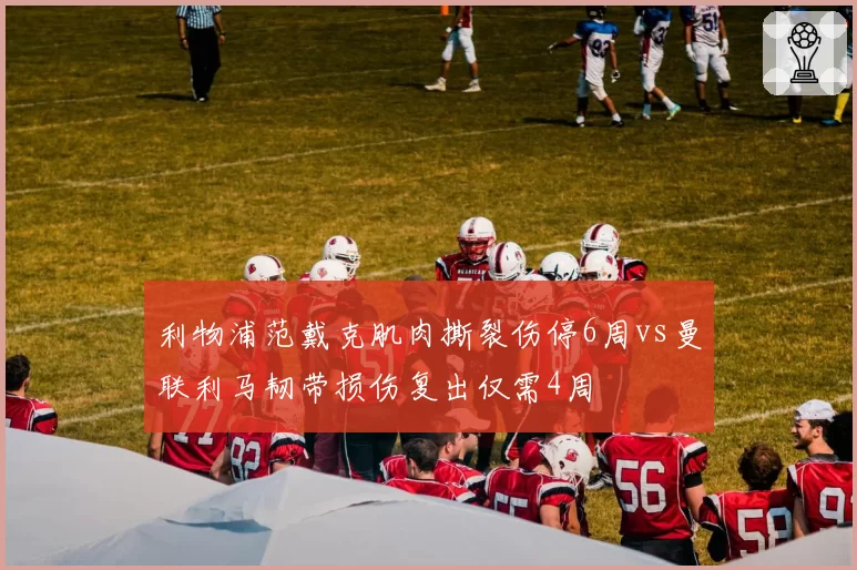 利物浦范戴克肌肉撕裂伤停6周vs曼联利马韧带损伤复出仅需4周