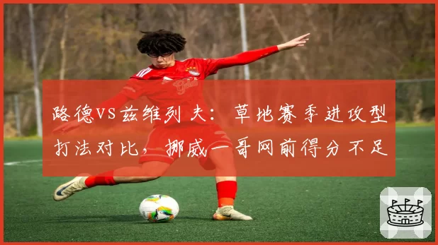 路德vs兹维列夫：草地赛季进攻型打法对比，挪威一哥网前得分不足四成