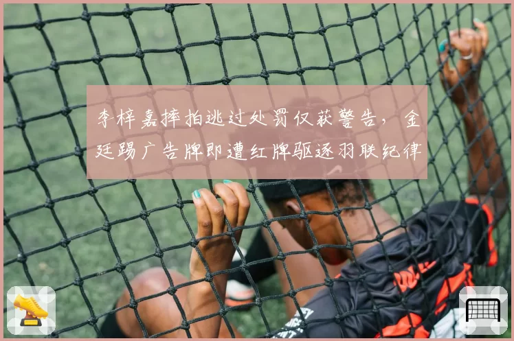 李梓嘉摔拍逃过处罚仅获警告,金廷踢广告牌即遭红牌驱逐羽联纪律标准缘何厚此薄彼?__br_